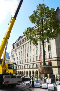 45t Liebherr lifting trees into possition in St. Peters Square Manchester