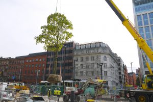 Crane being used to plant a tree